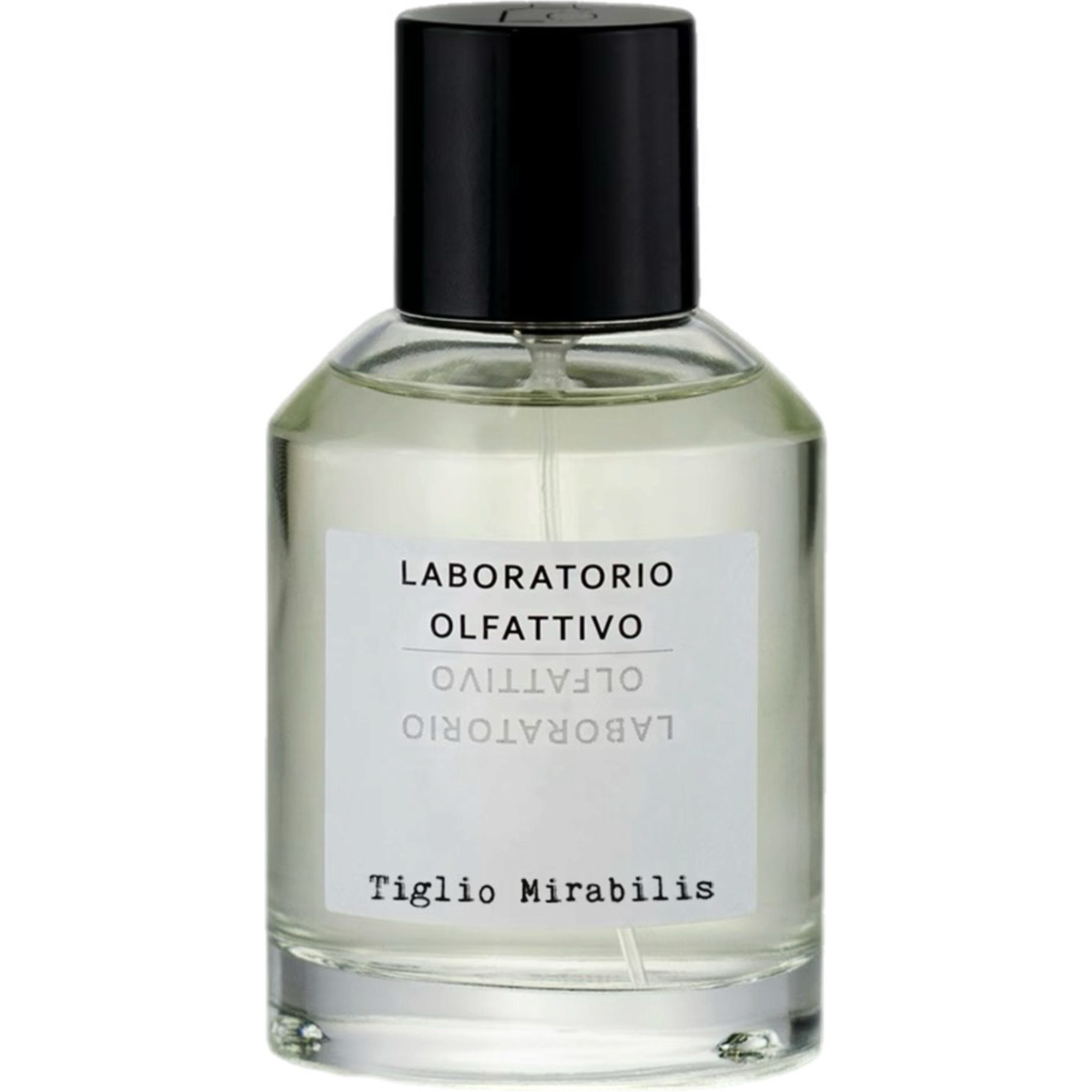 LABORATORIO OLFATTIVO Tiglio Mirabilis