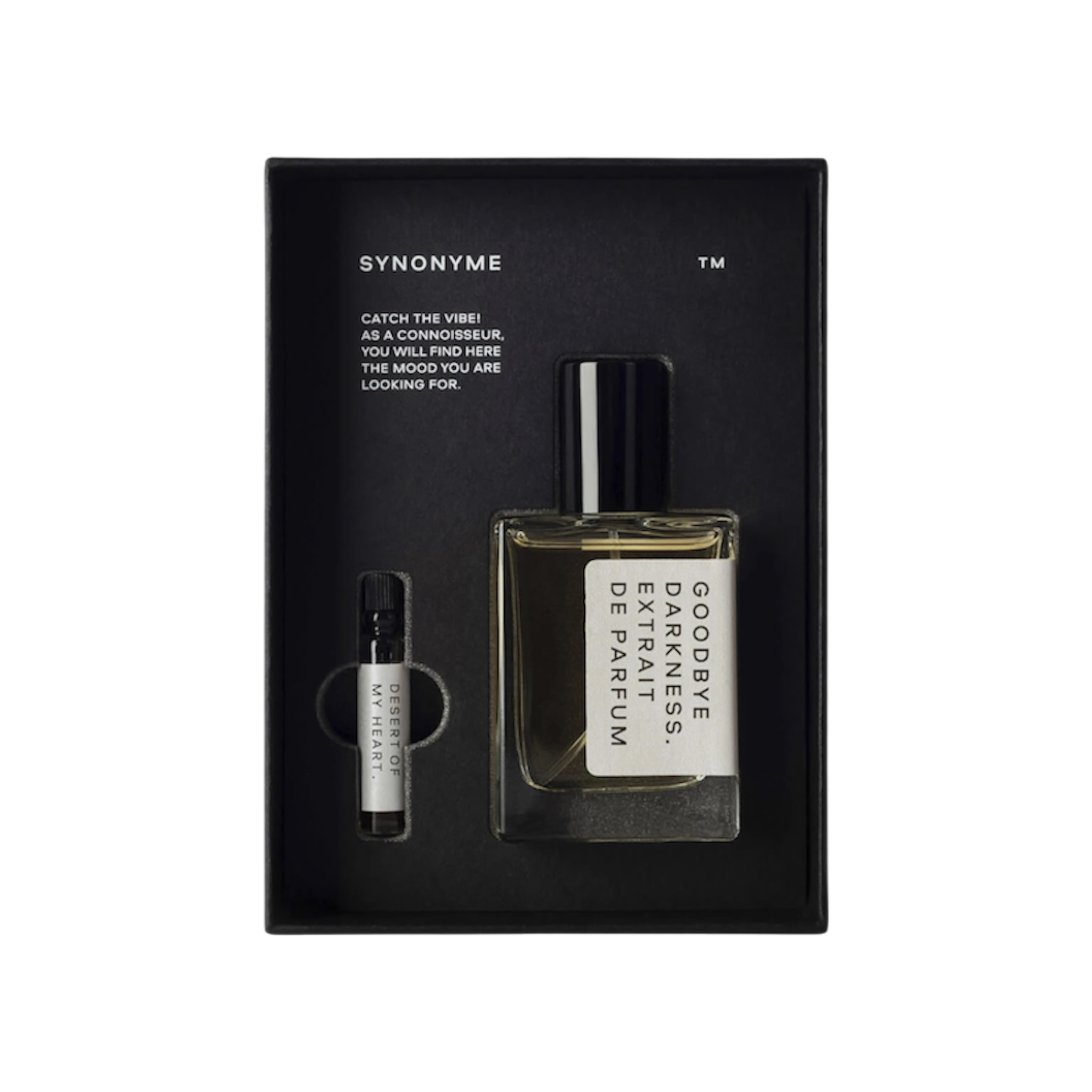 SYNONYME Goodbye Darkness