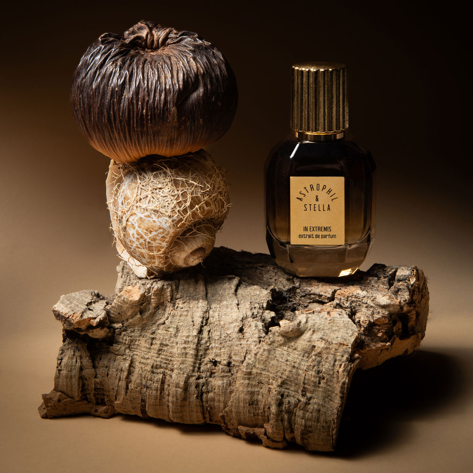 In Extremis - Купить в Москве в официальном интернет-магазине PROFUMUM.